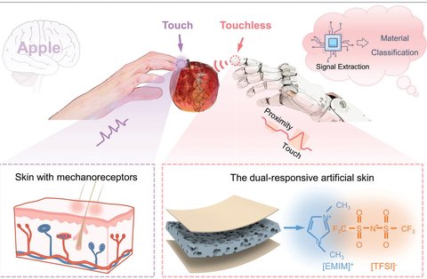 Figure from A dual-responsive artificial skin for tactile and touchless interfaces