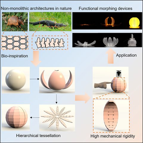 Figure from Hierarchical tessellation enables programmable morphing matter