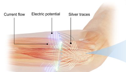 Figure from Flexible multichannel muscle impedance sensors for collaborative human-machine interfaces