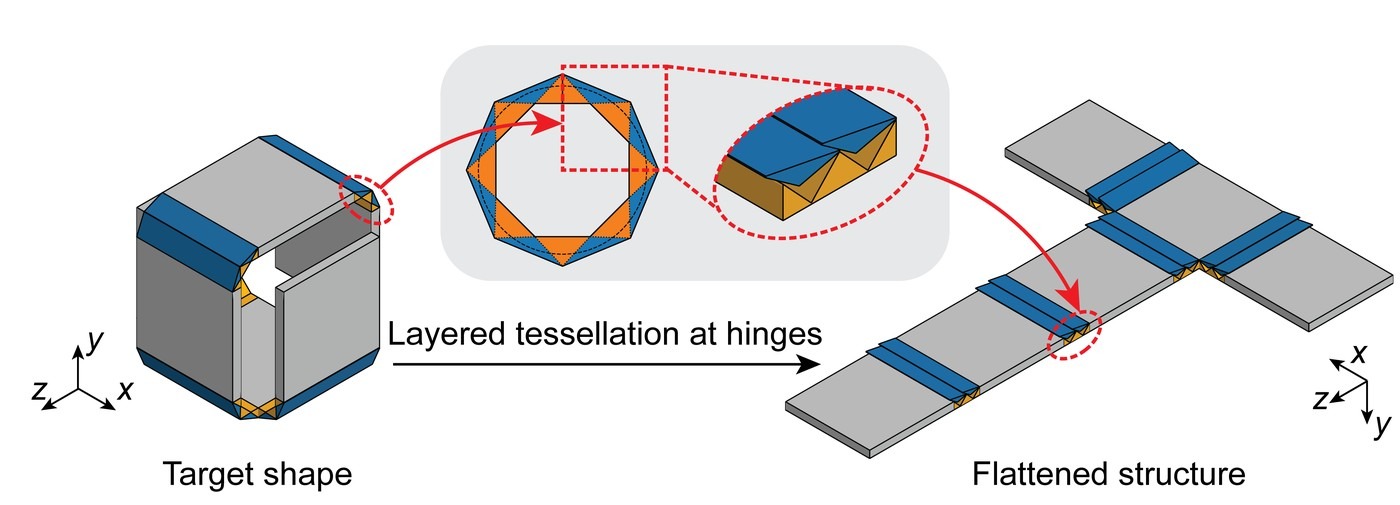 The folded box, a hinge's layered tessellation, and the flat sheet