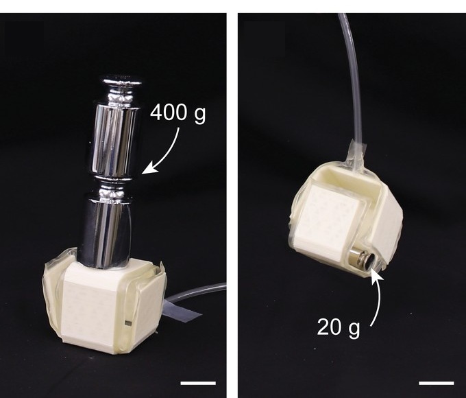 The folded box under a 400 g weight, and lifting a 20 g weight