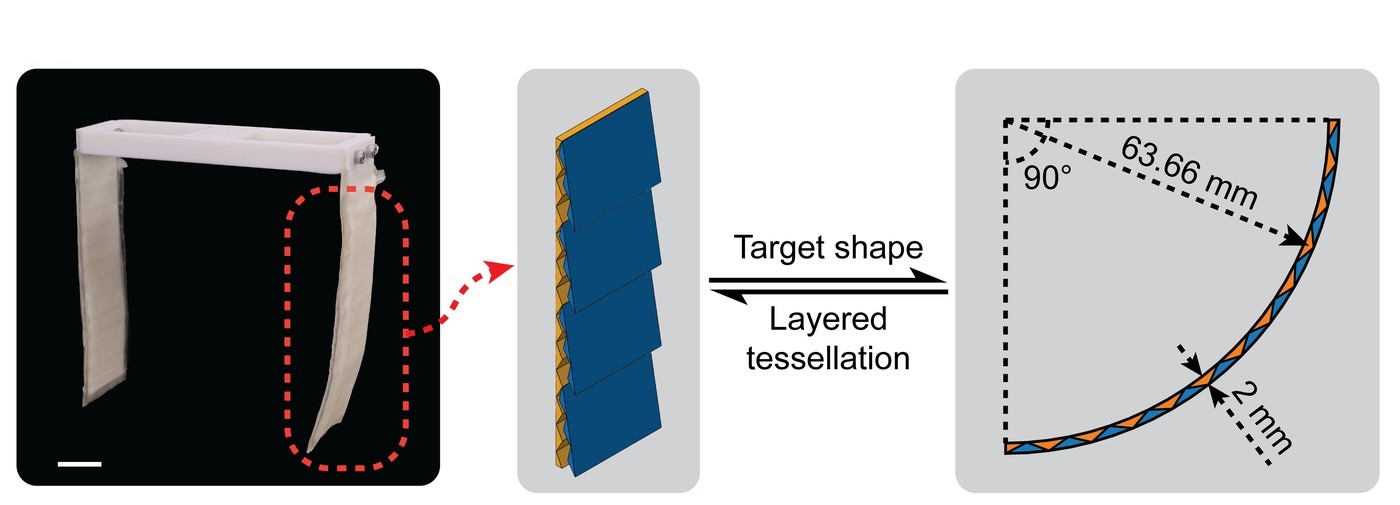 The gripper, the scaled structure in one finger, and the finger's quarter-circle target