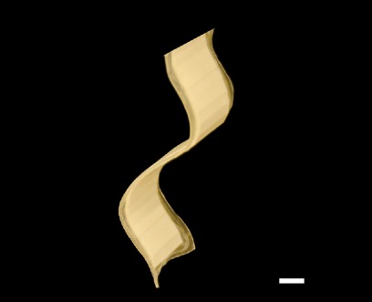 Wave, experiment