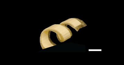 Helix, experiment