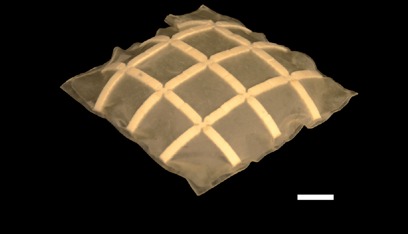 Dome, experiment