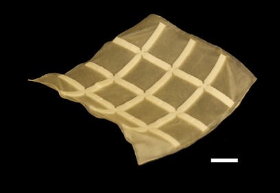 Saddle, experiment