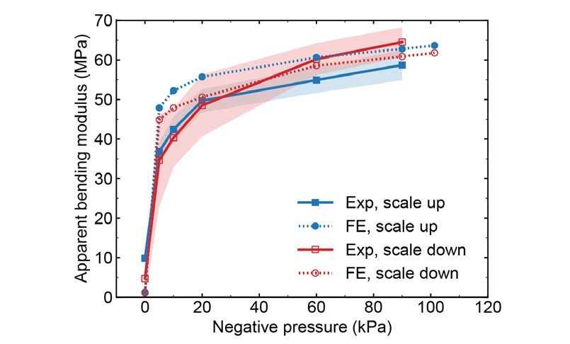 Apparent bending modulus against negative pressure, with the scales up or down