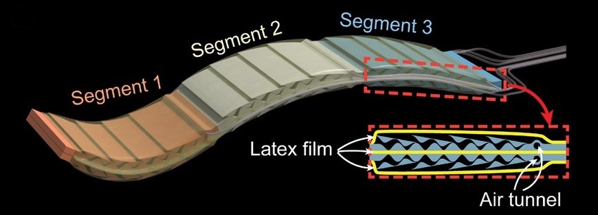 The robot's three segments, and a cross-section with its latex film and air tunnels