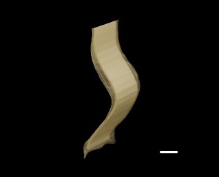 Spline 2, experiment