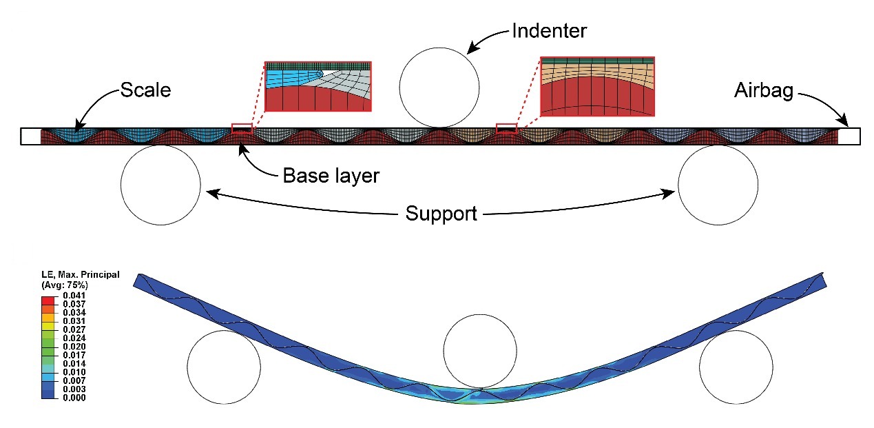 The simulated three-point bending test and the strain in the structure