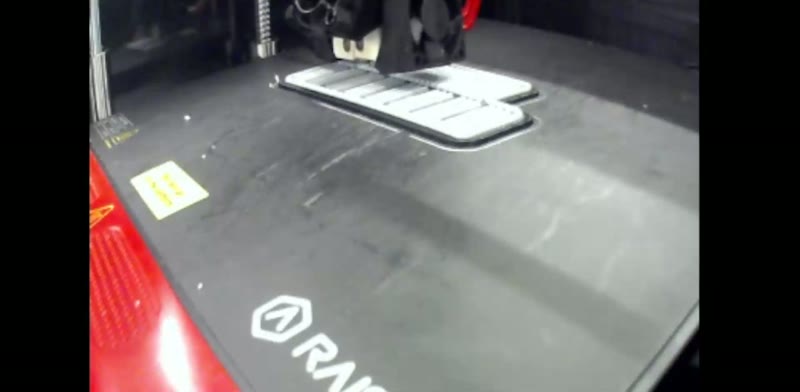 The printer laying down the scales and the base layer