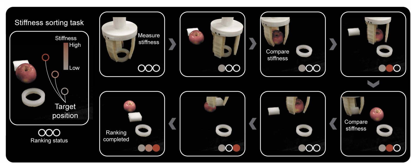 Frames of a gripper measuring and sorting a silicone ring, an apple and a foam block by stiffness