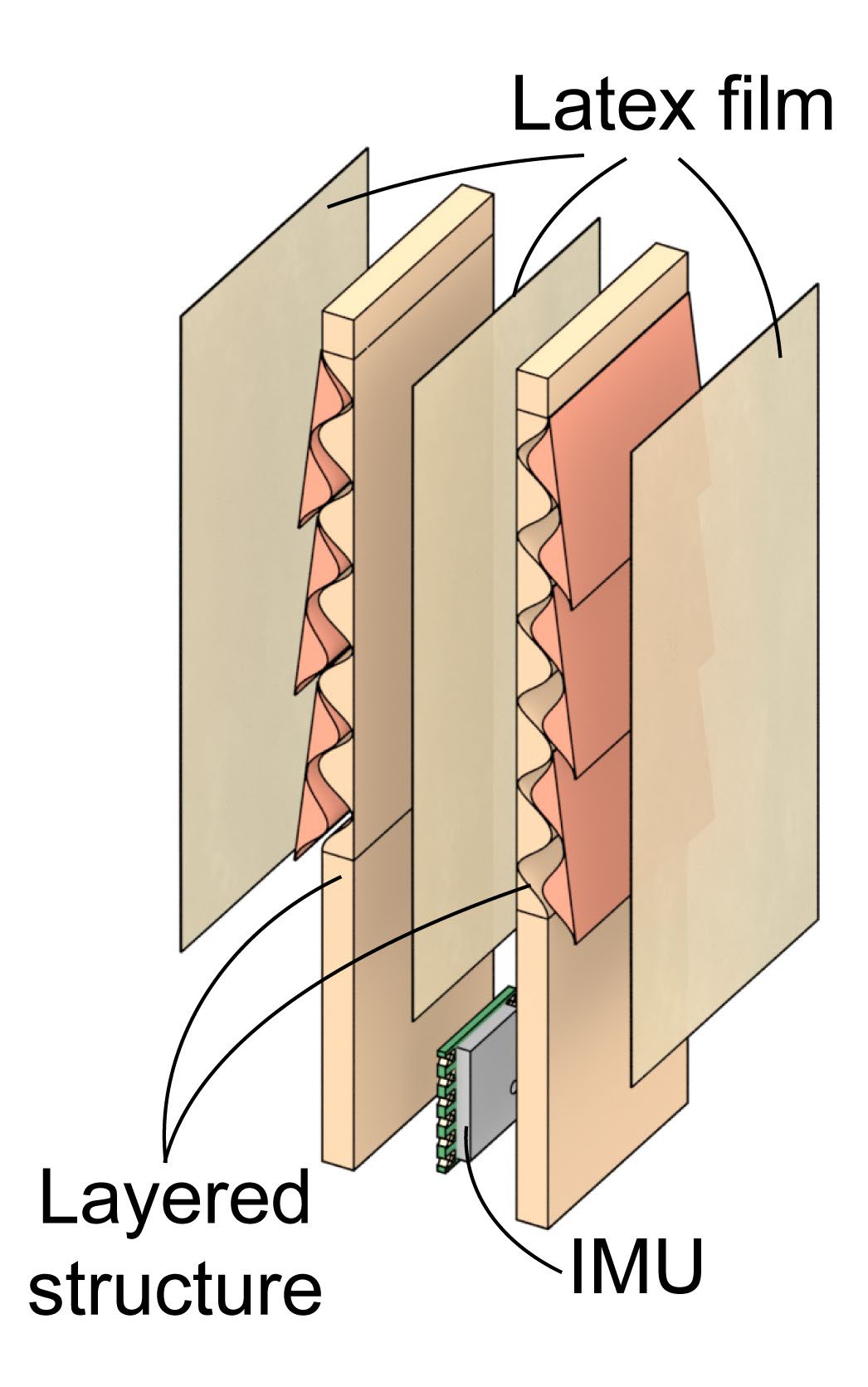 Exploded view of the robot: two layered structures between latex films, and the IMU