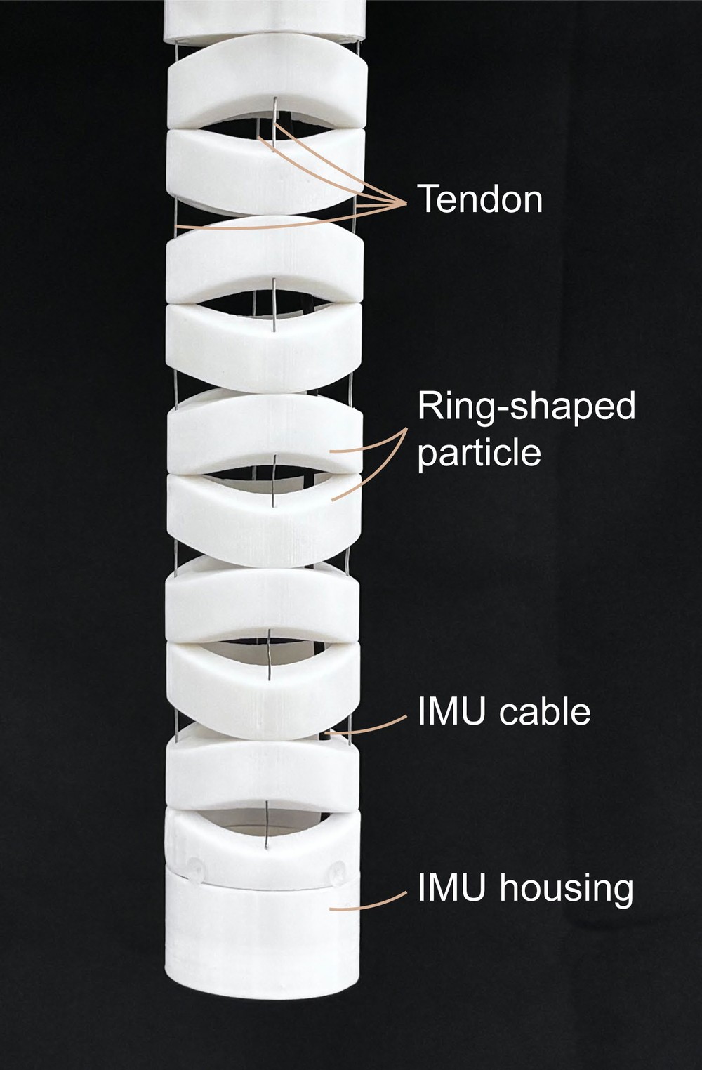 The tendon-driven robot: white ring-shaped particles threaded on tendons, with an IMU housing at the tip