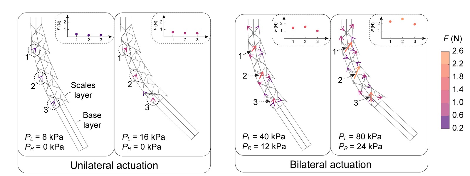 Friction force arrows on the base layer for one chamber and for both chambers depressurized